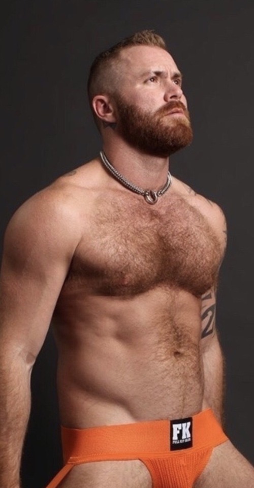 thefurryforest:
