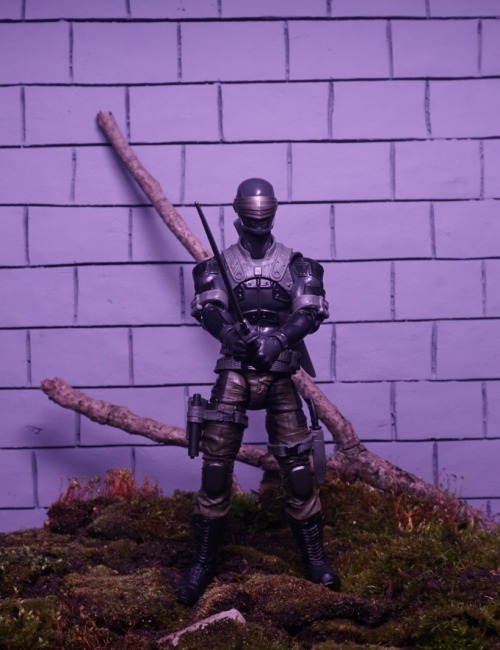 Snake Eyes Out For Blood!