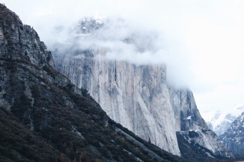 nuhstalgicsoul:My second home, Yosemite.