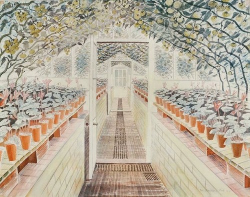 The Greenhouse: Cyclamen and Tomatoes (1935) - Eric Ravilious - Tate Collection (not on display), Lo