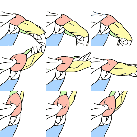 art-res:hamaonoverdrive:anatomicalart:piss-hubbo:FUCK THIS I SPERFECT, IT SHOWS THE ARM PRONATING AN