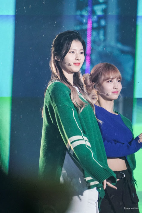 fyeah-twice:  © Twice Enneagon⎟ Do not edit or remove logo. 