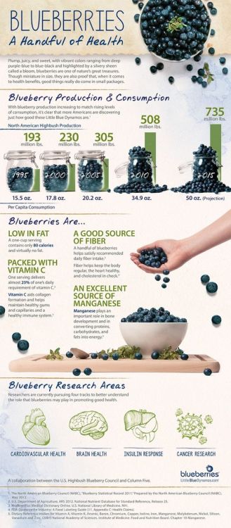 Blueberries and their benefits!