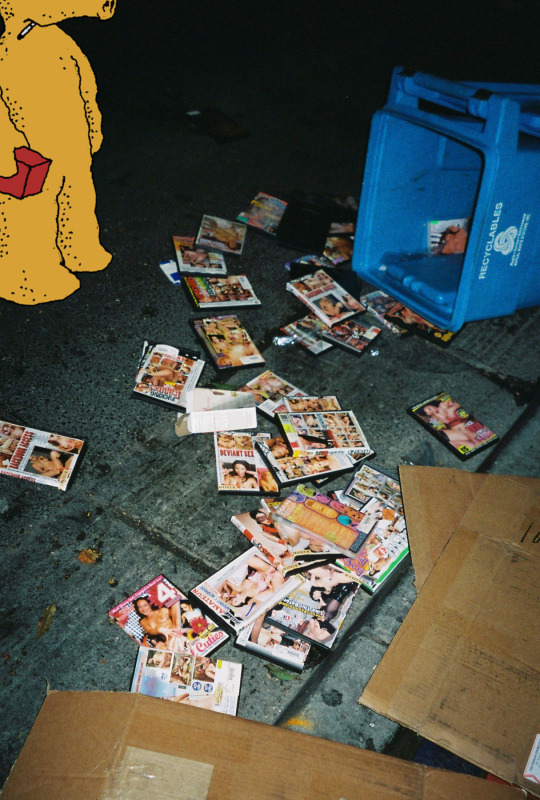 Tumblr media