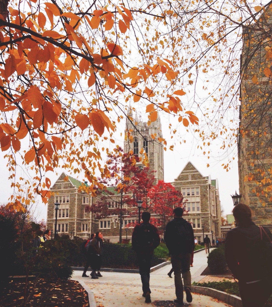 thebookishblonde:  There’s some color in even the gloomiest of days 