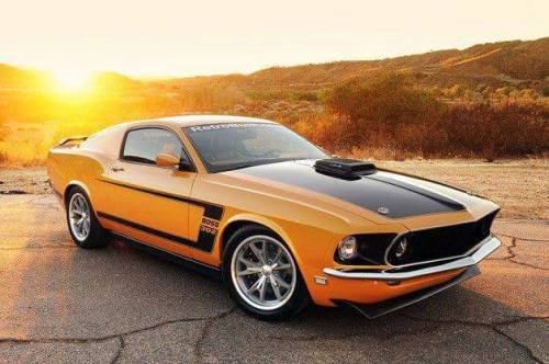 69 Mach1 Fastback