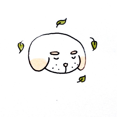 lemonfed:  here is a leaf pup to keep you company this november ⊂((・x・))⊃ 