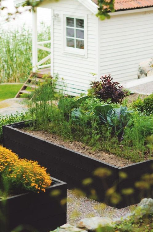 Black raised beds, Photograph courtesy of Victoria Skoglund. 