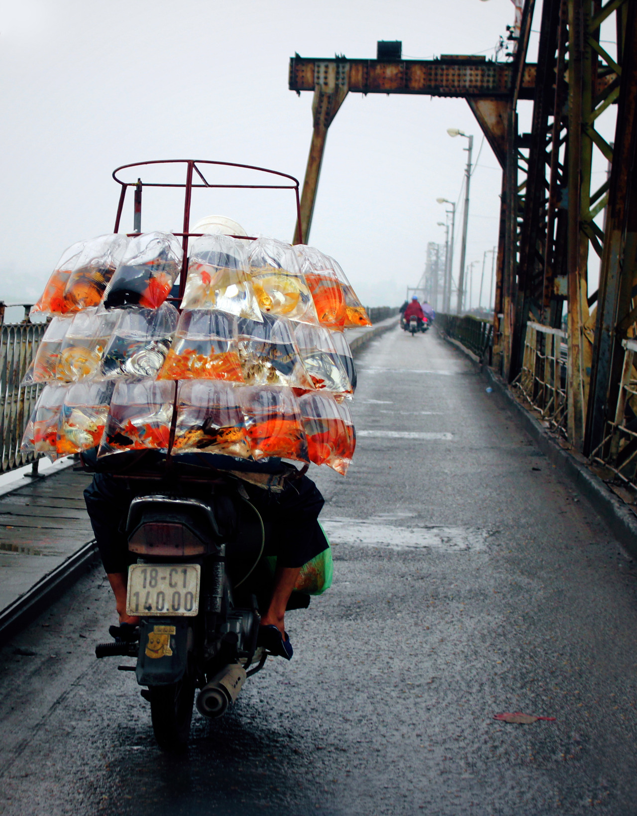 dnllmlln:  fish vendor on the long bien bridge, hanoi.by Danielle Mallon