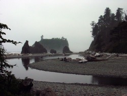 anikawephotography:  Ruby Beach, Washington State