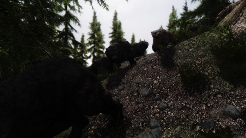 pink-reindeer:mo-bear0417:[Mudcrab_Bear_Wisp-Armor]久しぶりのBears! Bears!! Bears!!!wat