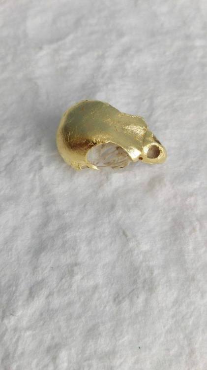 2017 - schedel van parkiet - 22 karaat - oranjegoud - verguld op oliebasis