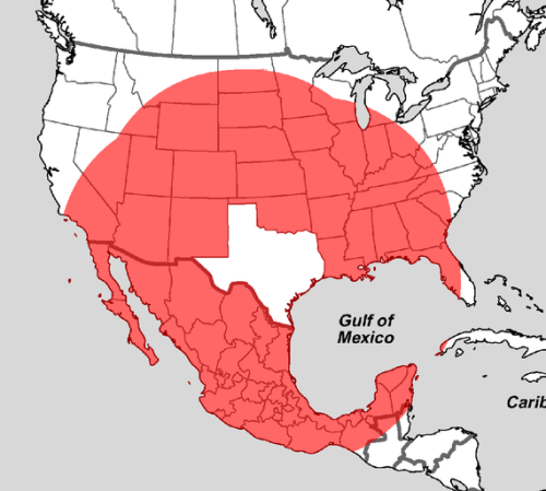 theatlantic:  What’s Closer To Texas Than Texas Is To Itself?  This map shows (roughly) how large the Lone Star State is. Points in the map’s red section are closer to somewhere in Texas than the opposite sides of Texas are to each other. That’s