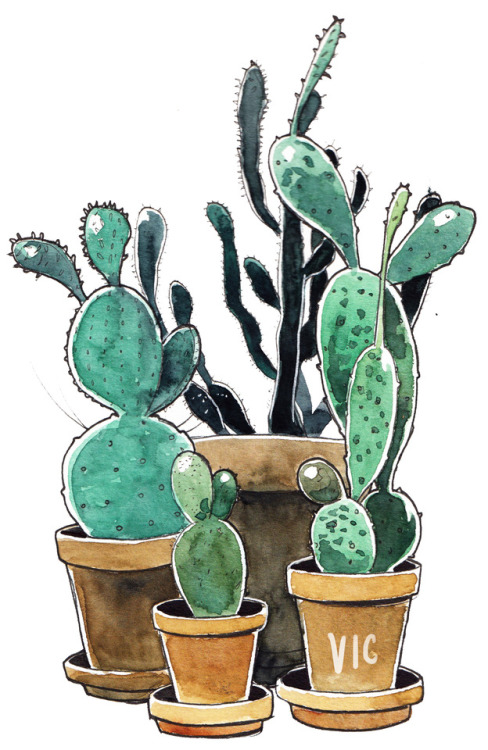 incaseyouart:Cacti~