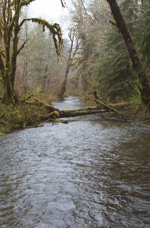 Fletcher Creek