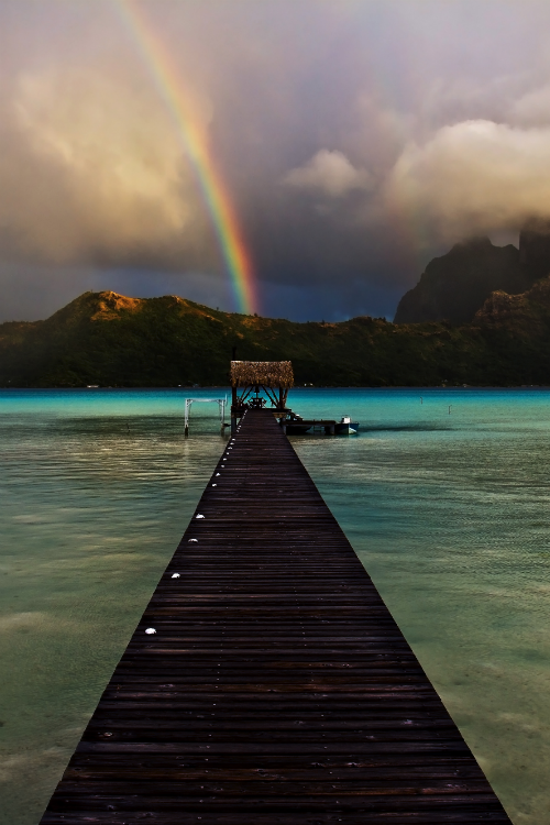 earthlycreations:  After The Rain by Tim adult photos