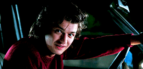 Adult Education || Steve Harrington X Reader