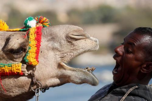 Hossam Nasser plays with his camel “Anter” in the Nubian village of Gharb Soheil, in Asw