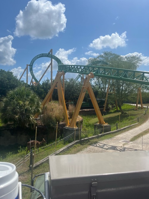 We're Shaking Things Up Today And Heading To Busch Gardens Tampa For Some Images Of Cheetah Hunt!