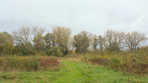 Autumn in bourgoyen nature reserve, Ghent, Belgium