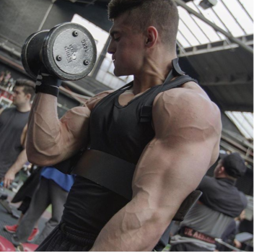 dafyddbach: UK muscle hunk, Chris Pazienti For more muscle hunkery follow @dafyddbach 