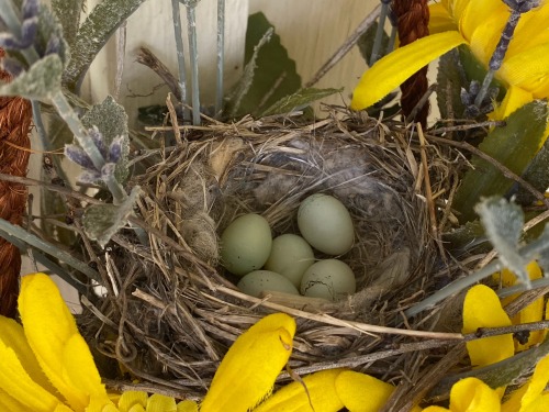 This is a picture taken today of the bird’s nest on my family’s front porch. So surreal and beautifu