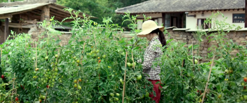 chung-king: 52 Films by Women 2018 #27 Little Forest, 2018 dir. Yim Soon-rye