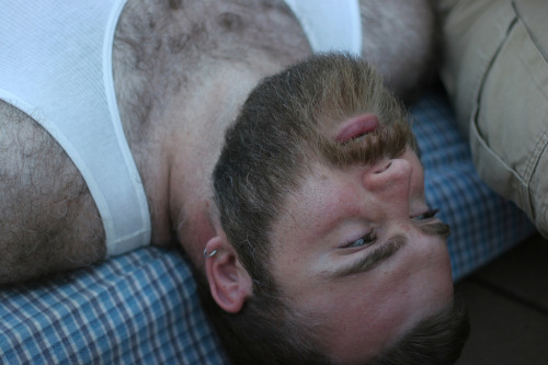 Bears-Pictures