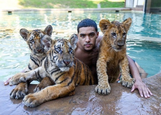 coldgamekelv:  It’s our duty to save these beautiful creatures from extinction #savethetigers 📸