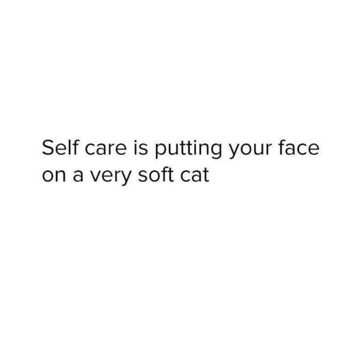 its-always-the-quiet-girl-deact: