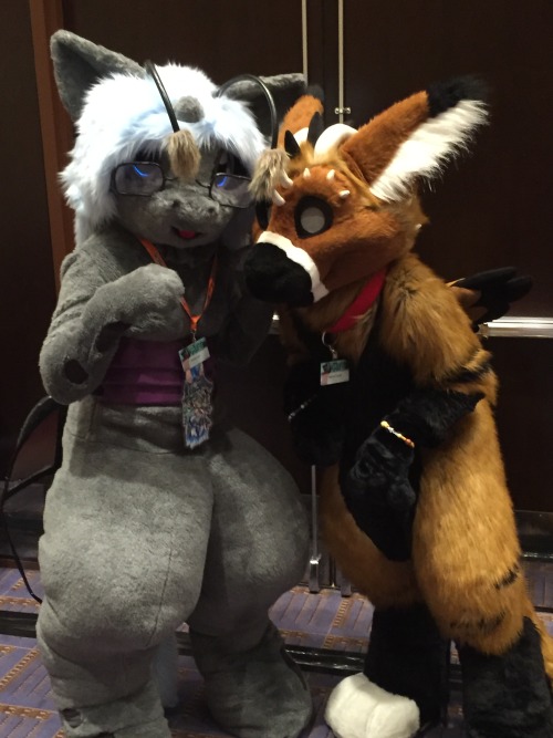 glorious-buttwings:I met Telephone <3Ahhh cute x3