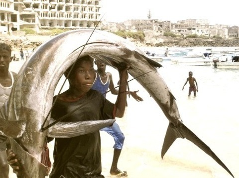 By Yasin Osman On Flickr.Fishing Capture - Mogadishu, Somalia.