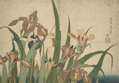 irycente:Katsushika Hokusai (some flowers)1760 - 1849Japanese painter 