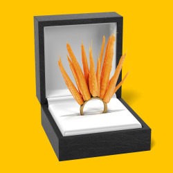 Thegroceries:  Dennys:  Hsandother:  Dennys:  When He Buys You A 14 Carrot Gold Ring