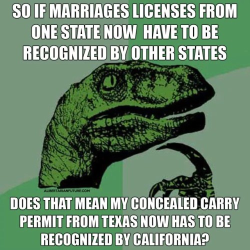 sonsoflibertytees:  #lovewins #equality #equalrights #2a #secondamendment #guns #gunrights #1911 #ruger #smithandwesson #kimber #springfieldarmory #taurus_firearms #lbgt #gay #equalprotectionunderthelaw #ammohoarding :: Via Instagram by spaghetti_pipes