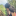 ticklebug98:  I don’t send pictures of my feet or any other places of my body,