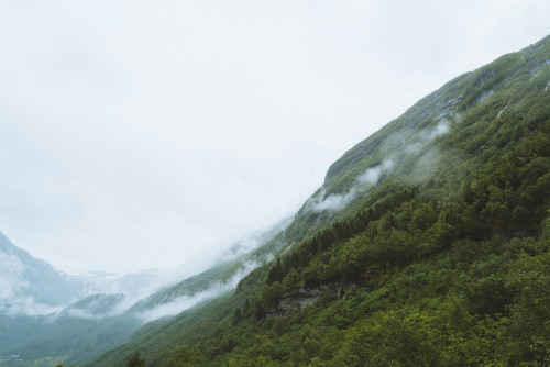 windandpines:➳ Probably the rainiest Midsummers Eve I’ve ever experienced. Hiked to Skageflå and bac