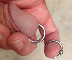 doasyouretold:  sissyboysub:  doasyouretold:  Sore little penis this morning. Stretched from 8 gauge to 6 gauge PA last night and also from a captive bead ring to a smooth segment ring. Working toward the Steelworxx Steelheart.   I’ve been looking at