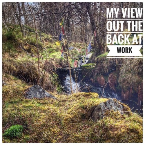 Not too shabby eh? My view out back at work today. The Coach House Cafe. #glenaffric #guisachan #wal