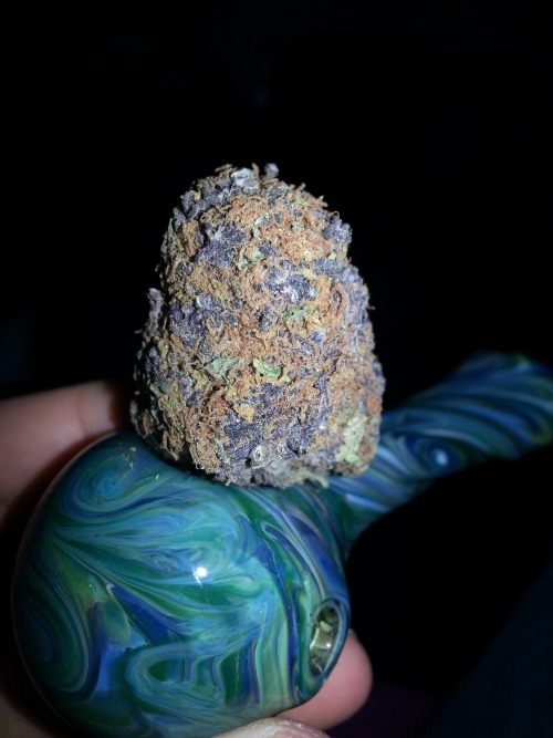 a-c-i-d-d-a-i-s-i-e-s:  feelthefrost:  Purple porn pictures