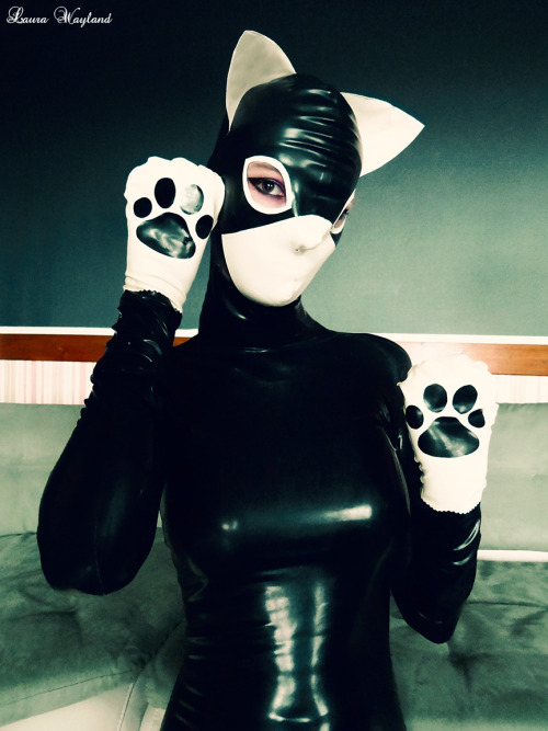 latexgit:lauratgirl:Miaoooooooouuuw !!!!CatGloves : https://www.etsy.com/fr/shop/CharmOLatexFaceBook : https://www.facebook.com/TgirlLauraWaylandFetlife : https://fetlife.com/users/3316555neeeeed!!! *_*