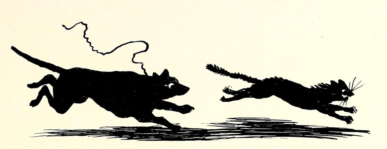 From Indiana Universitys 1897 yearbook.When animals go on the attack.Wondering about this post?  Wait for the dissertation (TBA).
For now:  Weblog ◆ Books ◆ Videos ◆ Music ◆ Etsy #cat and dog #chased#animal attack#silhouette#vintage yearbook#vintage illustration