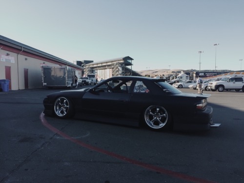 frecklefaaced: Sonoma. 8/12/15.