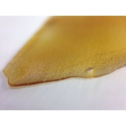 weedporndaily:  Stuck Up Extracts King Louie OG Shatter by 420firedepartment http://ift.tt/1zzMS6u