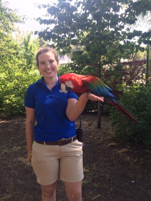 aquaristlifeforme: Part of being a newcomer to the Bird Show team is building lasting relationships 