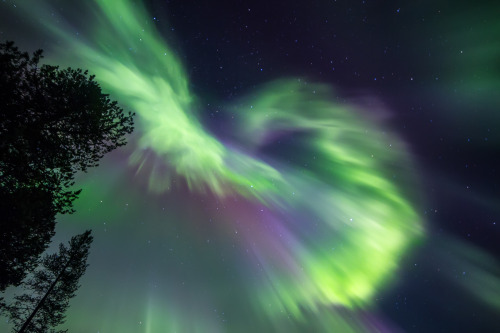 Porn Pics tiinatormanenphotography:  Aurora archives. Finland