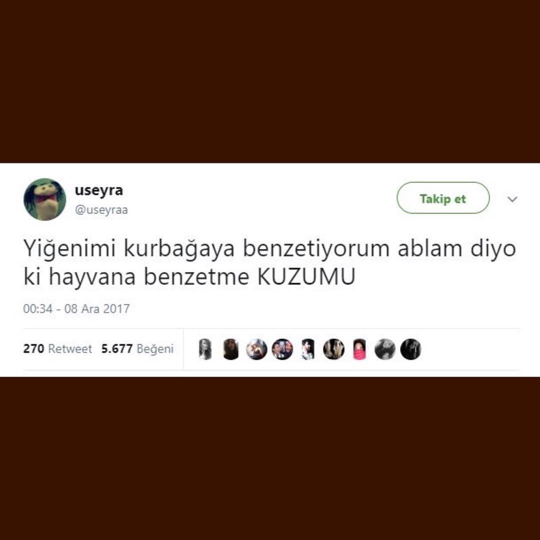 Yeğenimi kurbağa'ya...