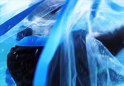 jaredandjensen:Sam + Blue↳ Requested by Anonymous