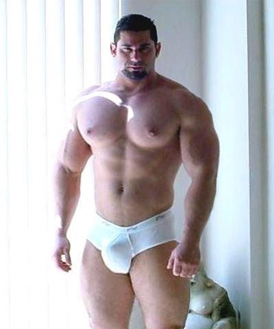 BIG BRAWNY STUDS