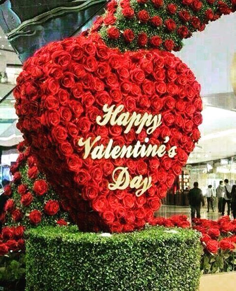 Happy Valentines Day Everybody ❤️❤️❤️